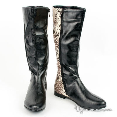 Сапоги Anre Tani, цвет цвет черный