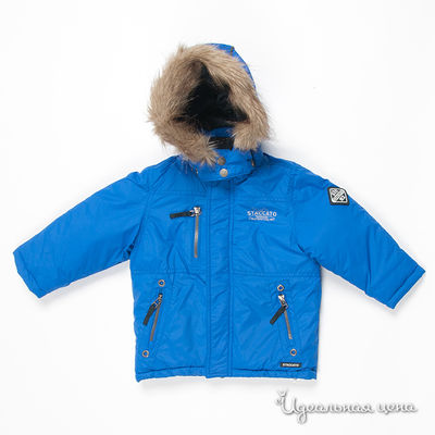 Куртка Staccato, цвет цвет синий