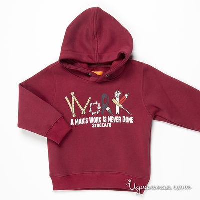 Толстовка Staccato, цвет цвет вишневый