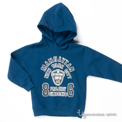 Толстовка Staccato, цвет цвет синий