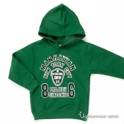 Толстовка Staccato, цвет цвет изумрудный