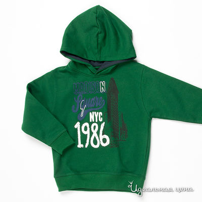 Толстовка Staccato, цвет цвет изумрудный