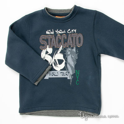Толстовка Staccato, цвет цвет дымчато-синий