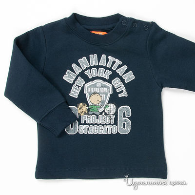 Толстовка Staccato, цвет цвет индиго