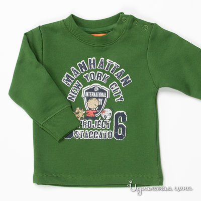 Толстовка Staccato, цвет цвет зеленый