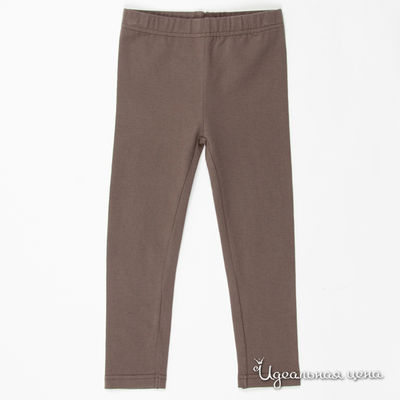 Леггинсы Staccato, цвет цвет коричневый