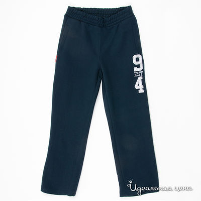 Брюки Young Reporter, цвет цвет темно-синий