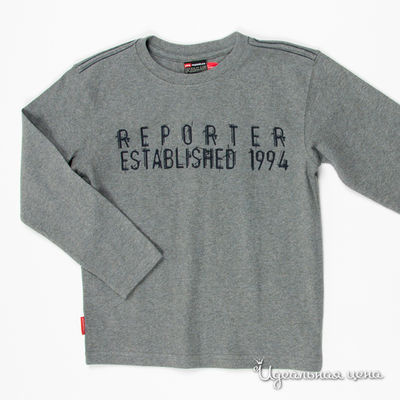 Лонгслив Young Reporter, цвет цвет серый меланж