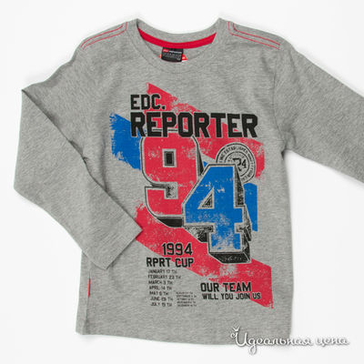 Лонгслив Young Reporter, цвет цвет серый меланж