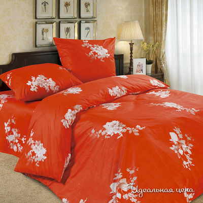 Комплект Domus