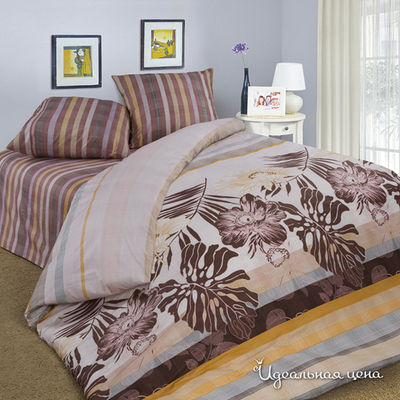 Комплект Domus