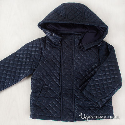 Куртка Comusl, цвет цвет синий