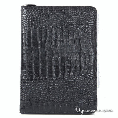 Папка Apples, цвет цвет черный