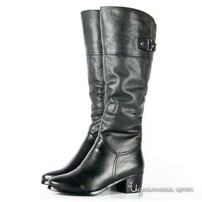 Сапоги Cardinali, цвет цвет черный