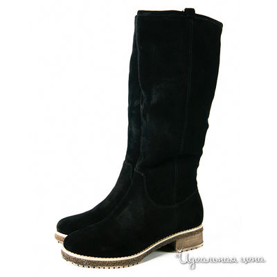 Сапоги Cardinali, цвет цвет черный