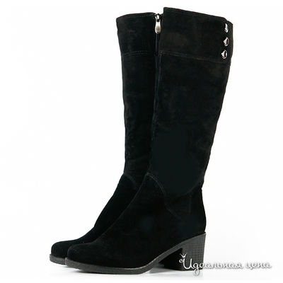 Сапоги Cardinali, цвет цвет черный