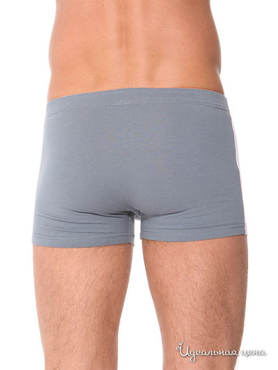 Трусы Atlantic, цвет цвет серый