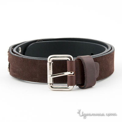 Ремень Stefania Morri, цвет цвет коричневый