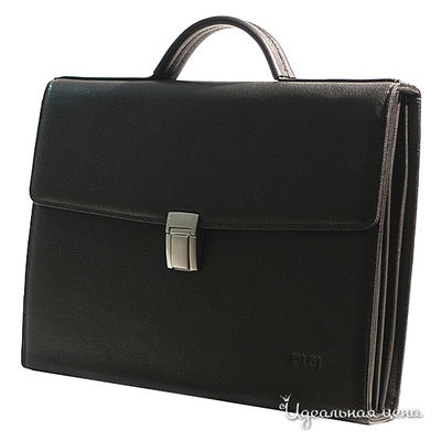 Папка OLCI, цвет цвет черный