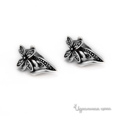 Пуссеты Ice&High