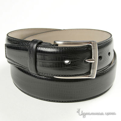 Ремень Dali Exclusive, цвет цвет черный