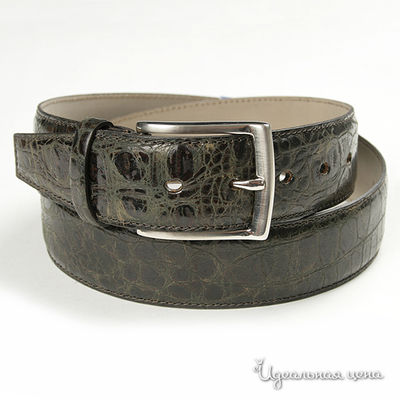 Ремень Dali Exclusive, цвет цвет черный