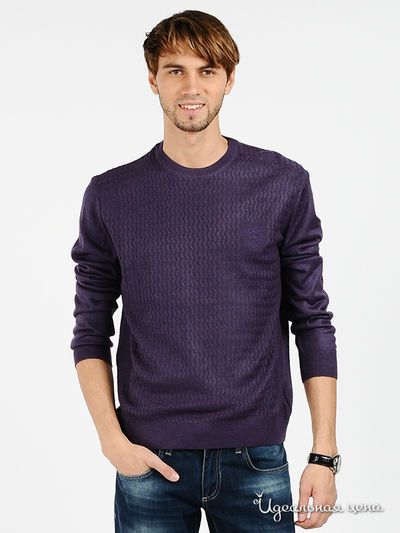 Джемпер Total Look, цвет цвет фиолетовый