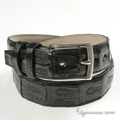 Ремень Dali Exclusive, цвет цвет черный