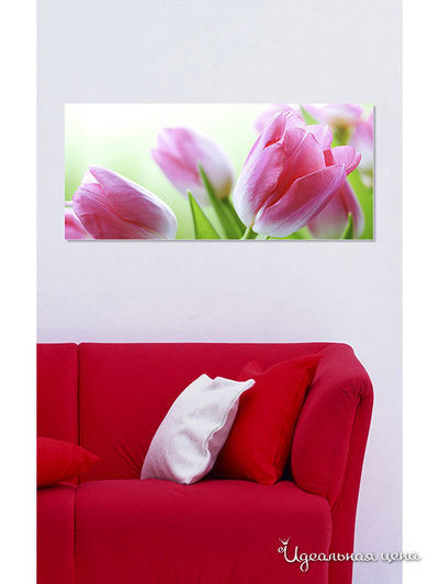 Картина MOMO concept