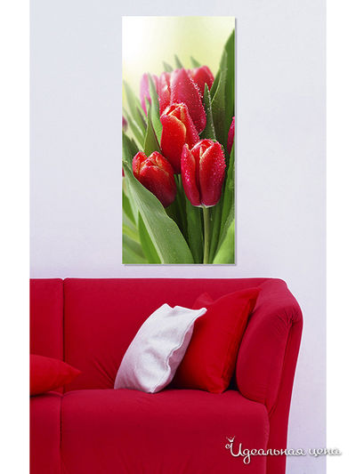 Картина MOMO concept