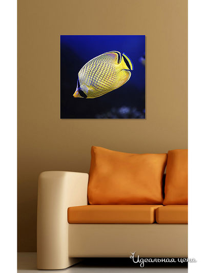 Картина MOMO concept