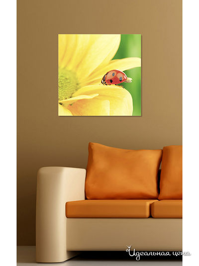 Картина MOMO concept