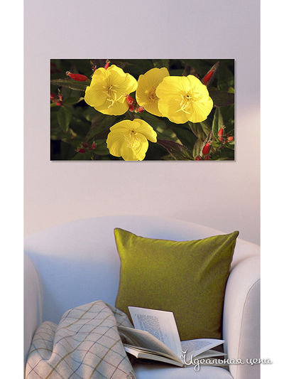 Картина MOMO concept