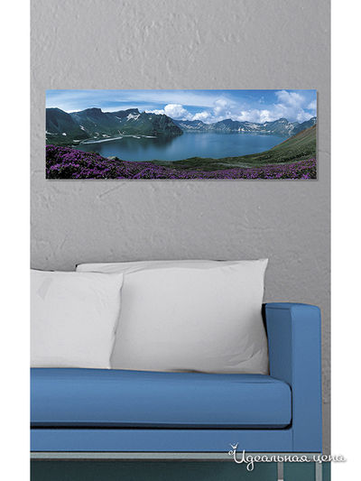 Картина MOMO concept