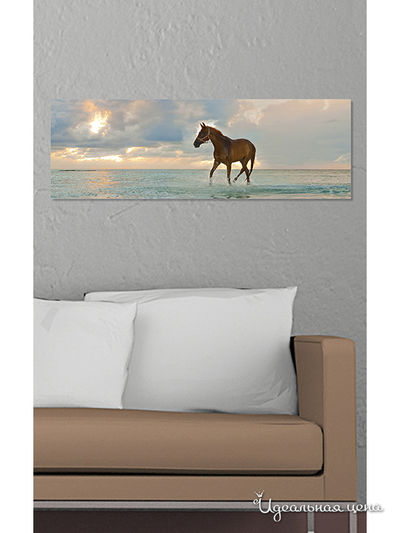 Картина MOMO concept