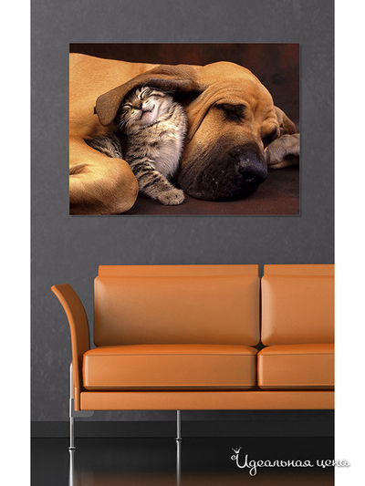 Картина MOMO concept