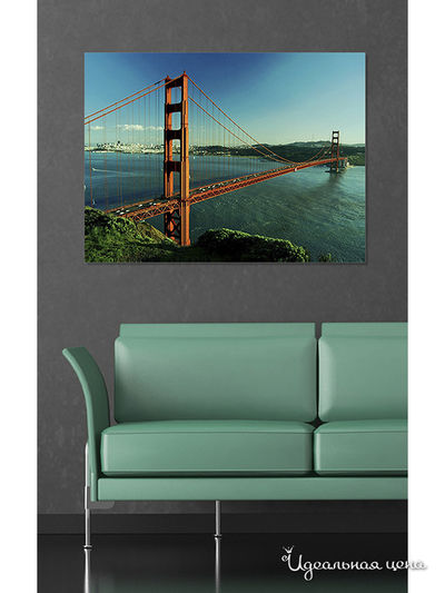 Картина MOMO concept