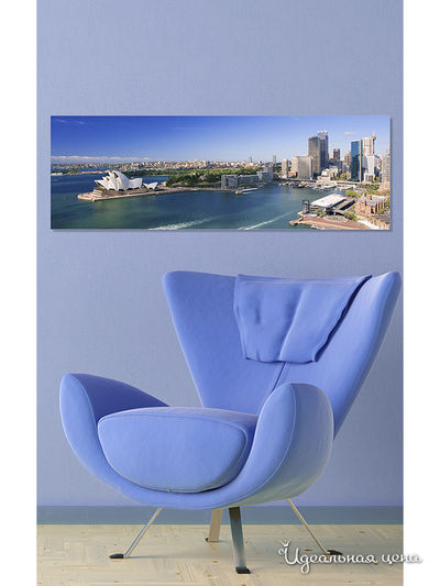 Картина MOMO concept