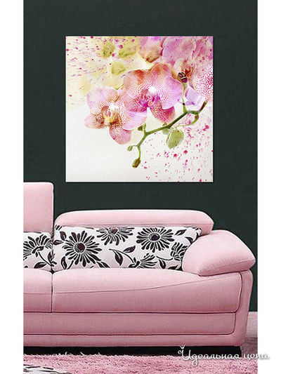 Картина MOMO concept