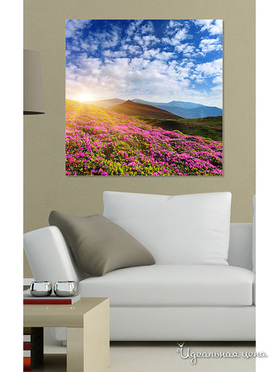 Картина MOMO concept