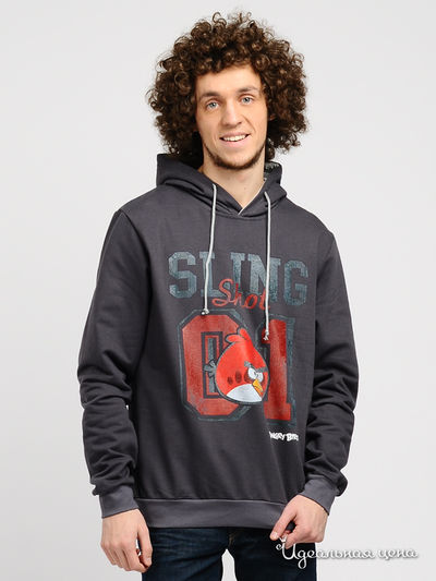 Свитшот Angry Birds, цвет цвет темно-серый