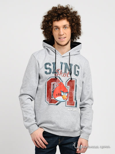 Свитшот Angry Birds, цвет цвет серый