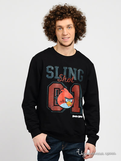 Свитшот Angry Birds, цвет цвет черный