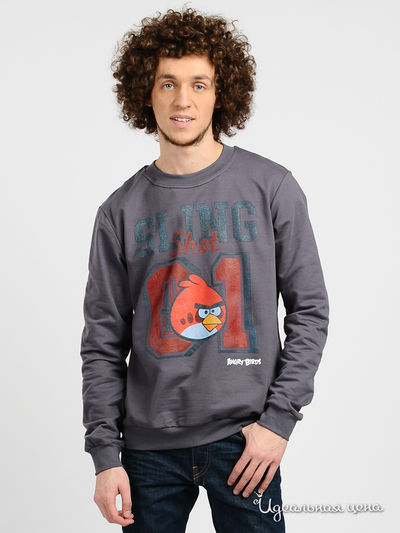 Свитшот Angry Birds, цвет цвет темно-серый