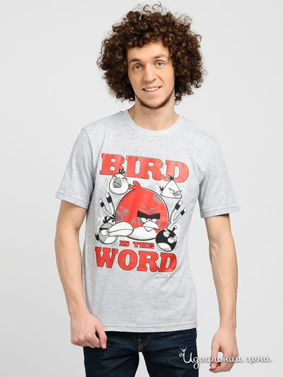 Футболка Angry Birds, цвет цвет серый меланж