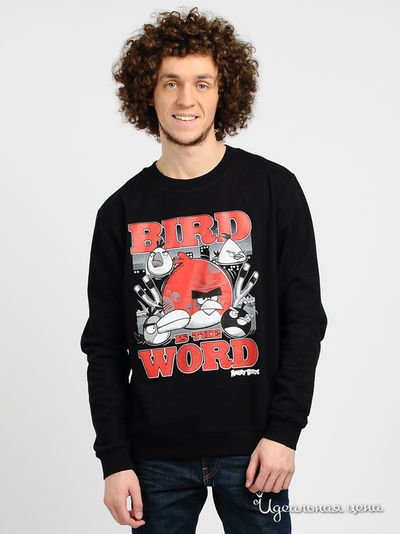 Свитшот Angry Birds, цвет цвет черный