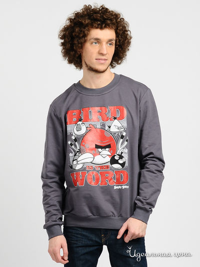 Свитшот Angry Birds, цвет цвет темно-серый