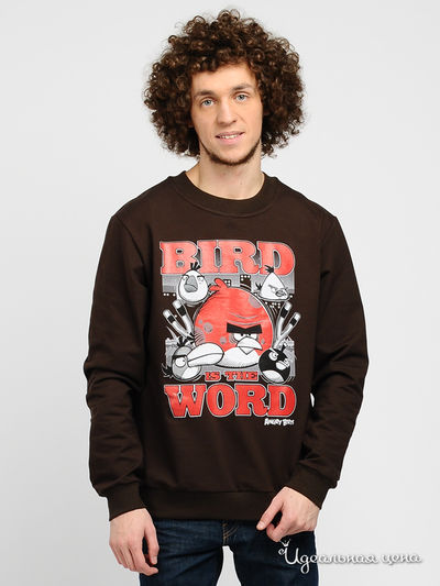 Свитшот Angry Birds, цвет цвет шоколадный