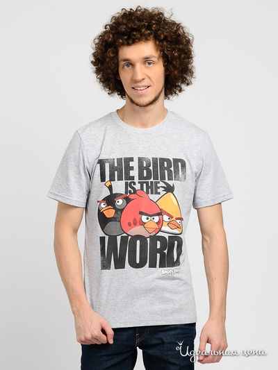 Футболка Angry Birds, цвет цвет серый меланж
