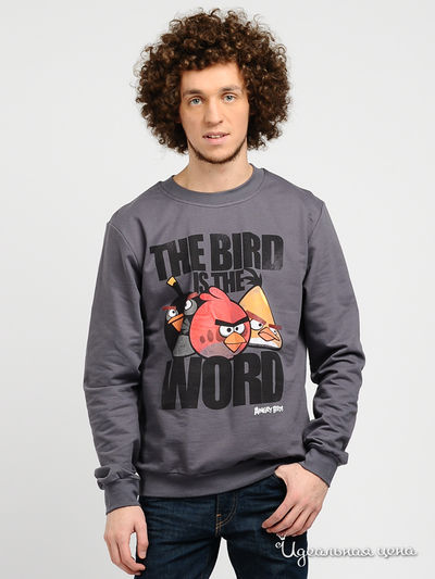 Свитшот Angry Birds, цвет цвет темно-серый